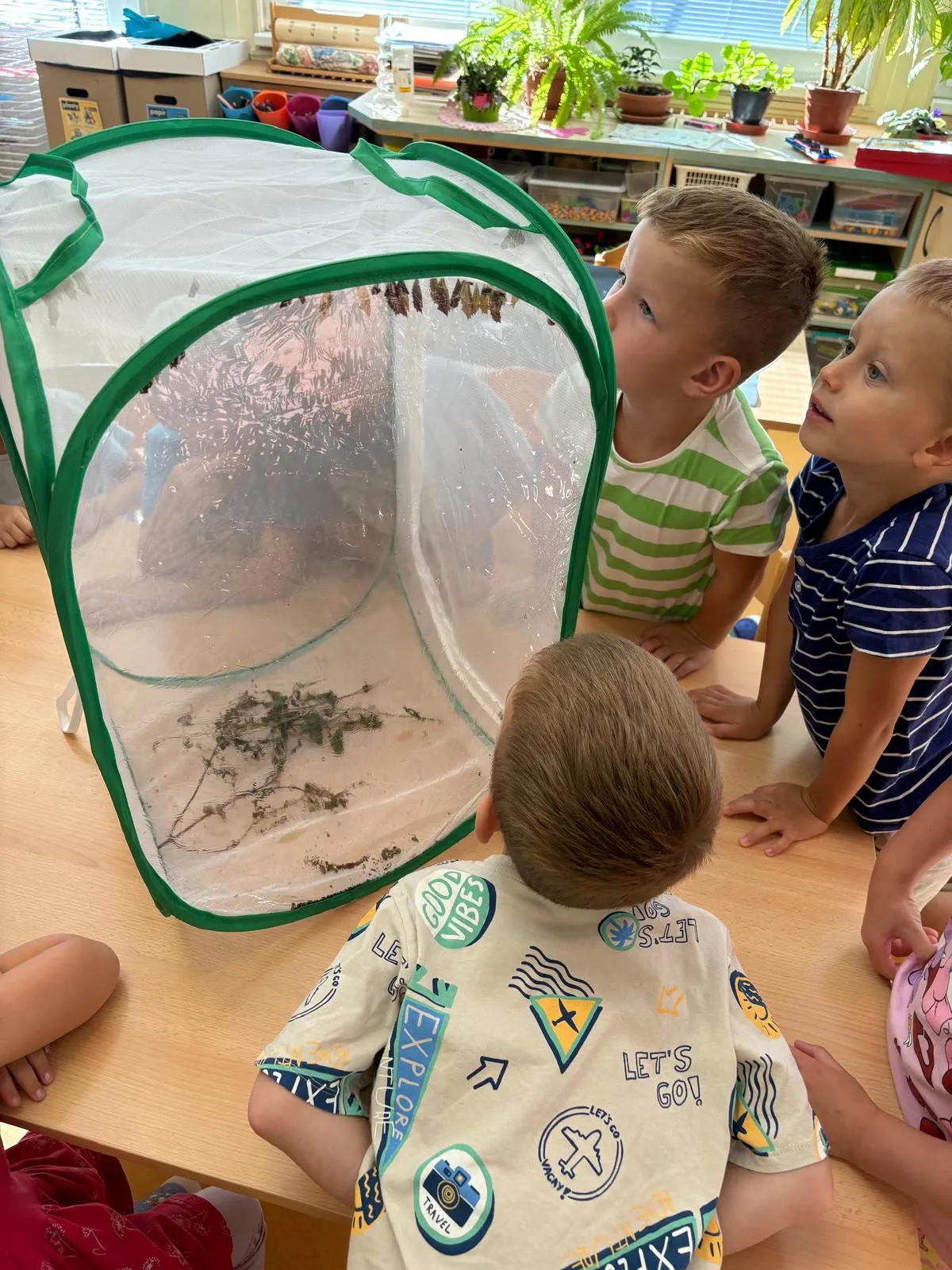 Přečtete si více ze článku Projekt Motýli – září 2025